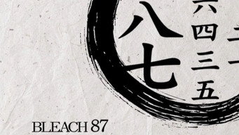 A convocação do Byakuya! Os Treze Batalhões entram em ação